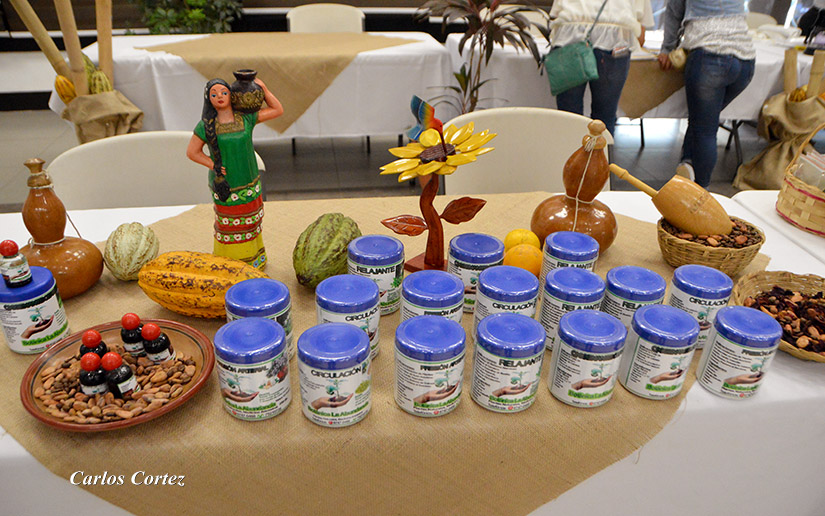 festival-chocolate-mefcca